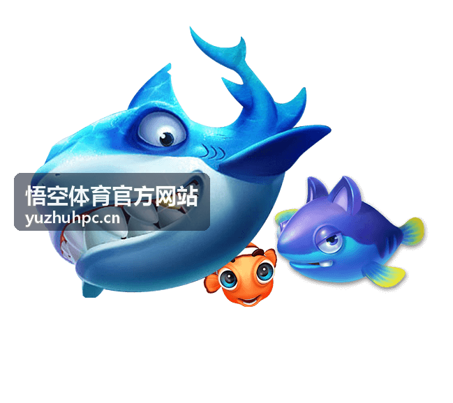 悟空体育资讯封面