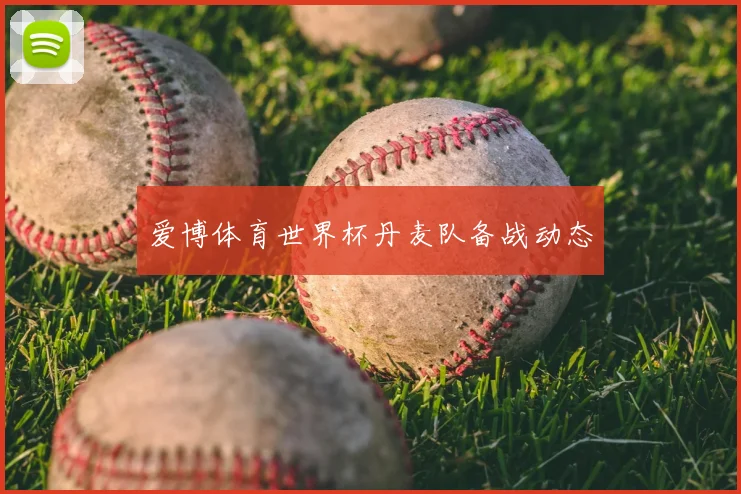 爱博体育世界杯丹麦队备战动态