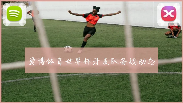 爱博体育世界杯丹麦队备战动态