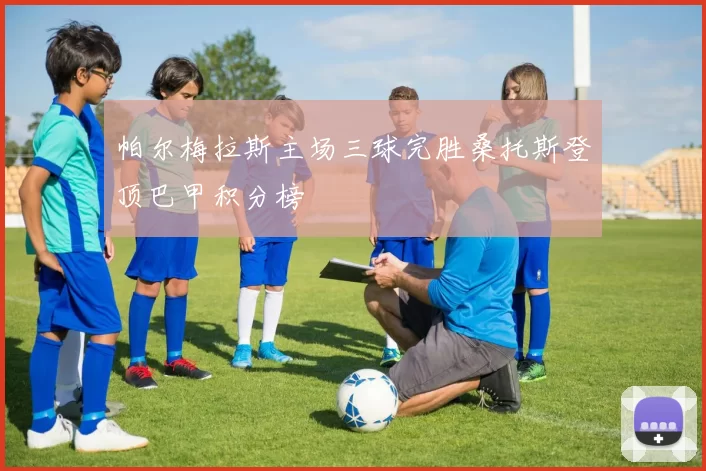 帕尔梅拉斯主场三球完胜桑托斯登顶巴甲积分榜