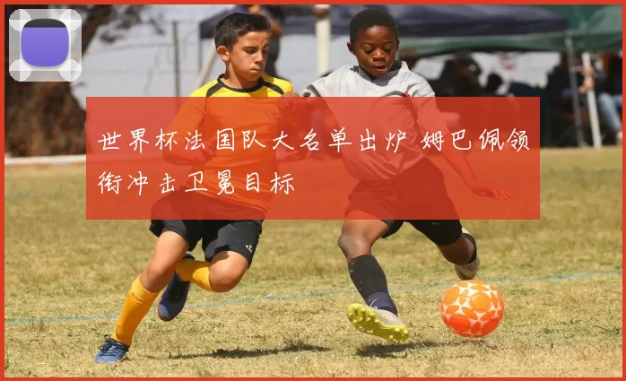 世界杯法国队大名单出炉 姆巴佩领衔冲击卫冕目标