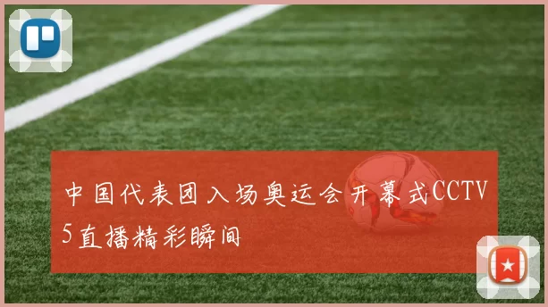 中国代表团入场奥运会开幕式CCTV5直播精彩瞬间